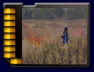 Village life north east Thailand - slide show #3